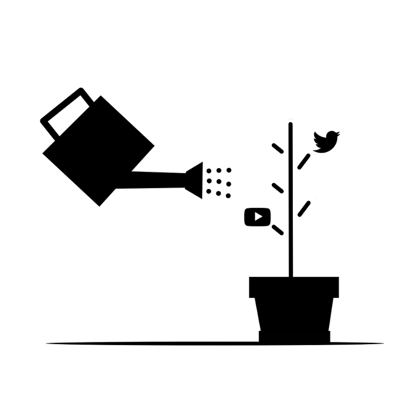 Black-and-white illustration of a watering can held over a plant with icons of Twitter and YouTube on its stems.